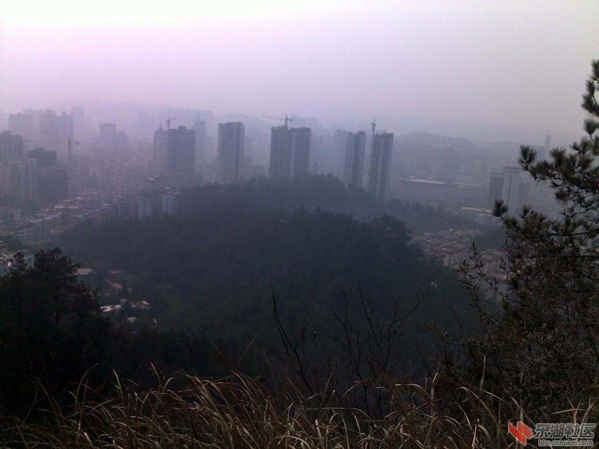 201202221144.jpg