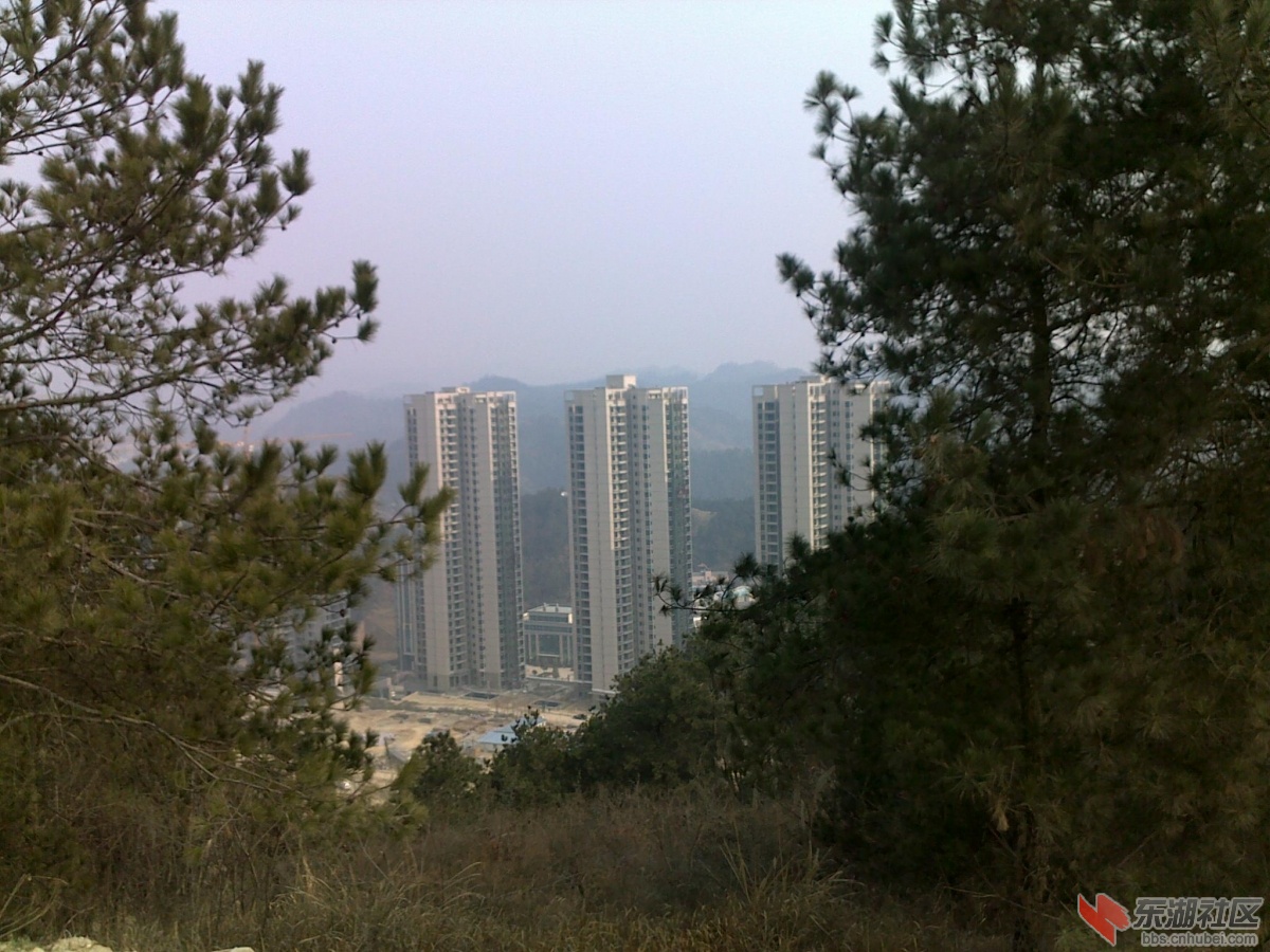 201202221145.jpg