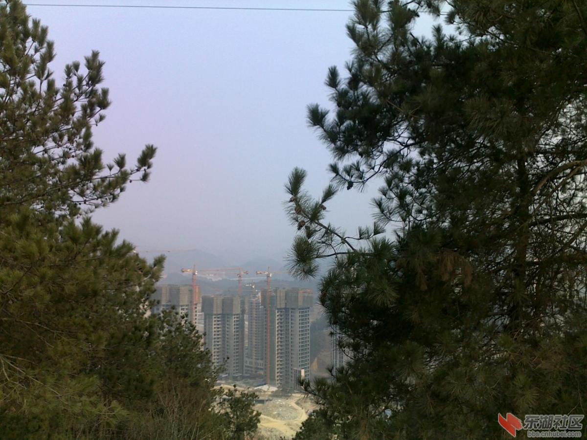 201202221146.jpg