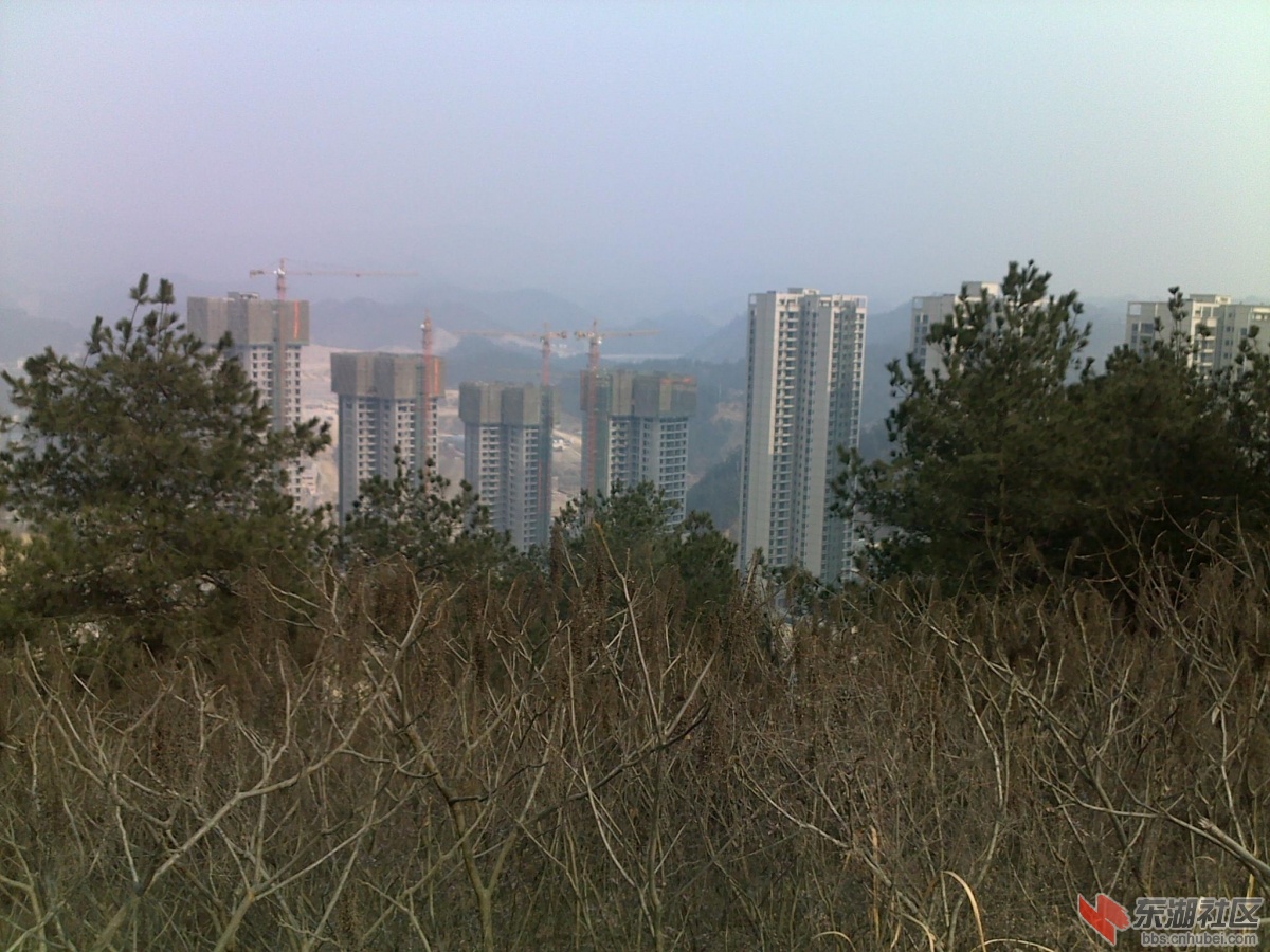 201202221147.jpg