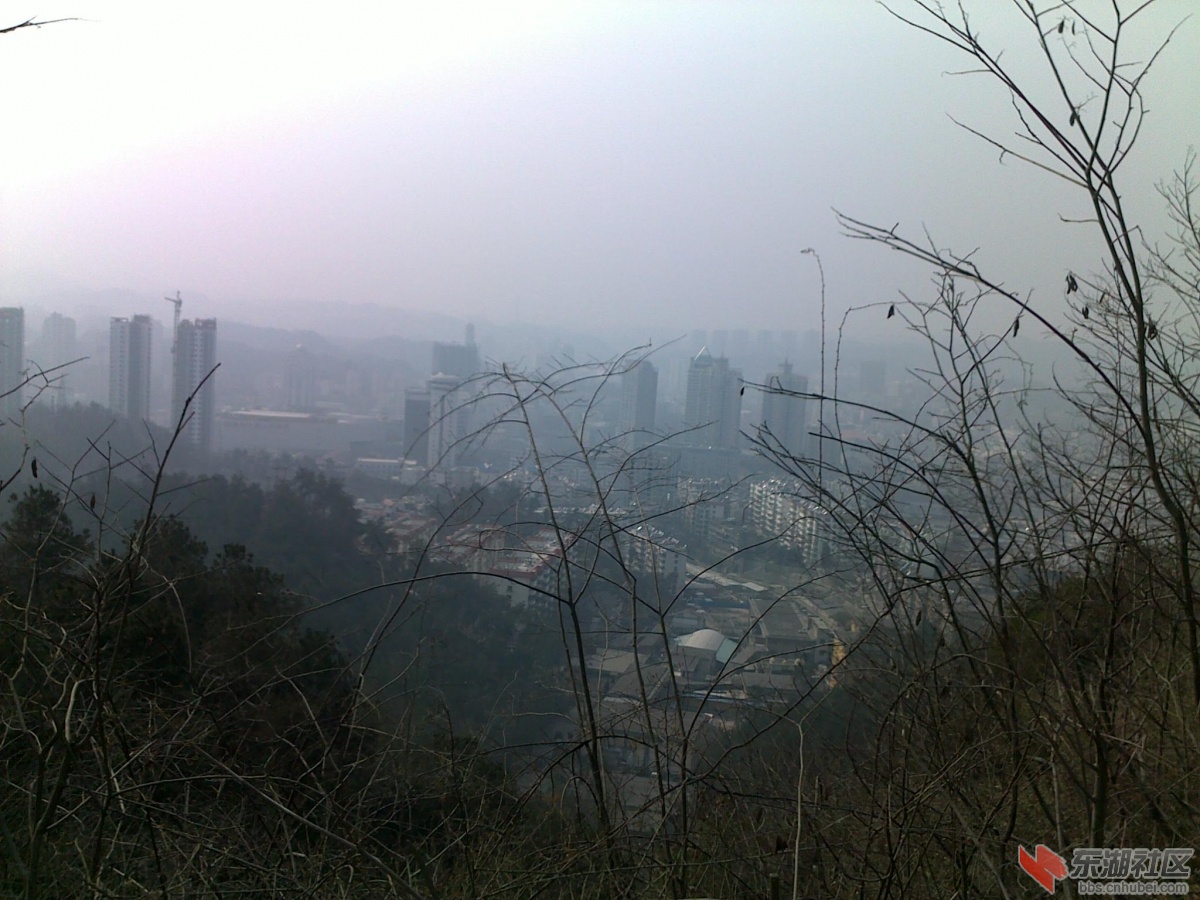 201202221148.jpg