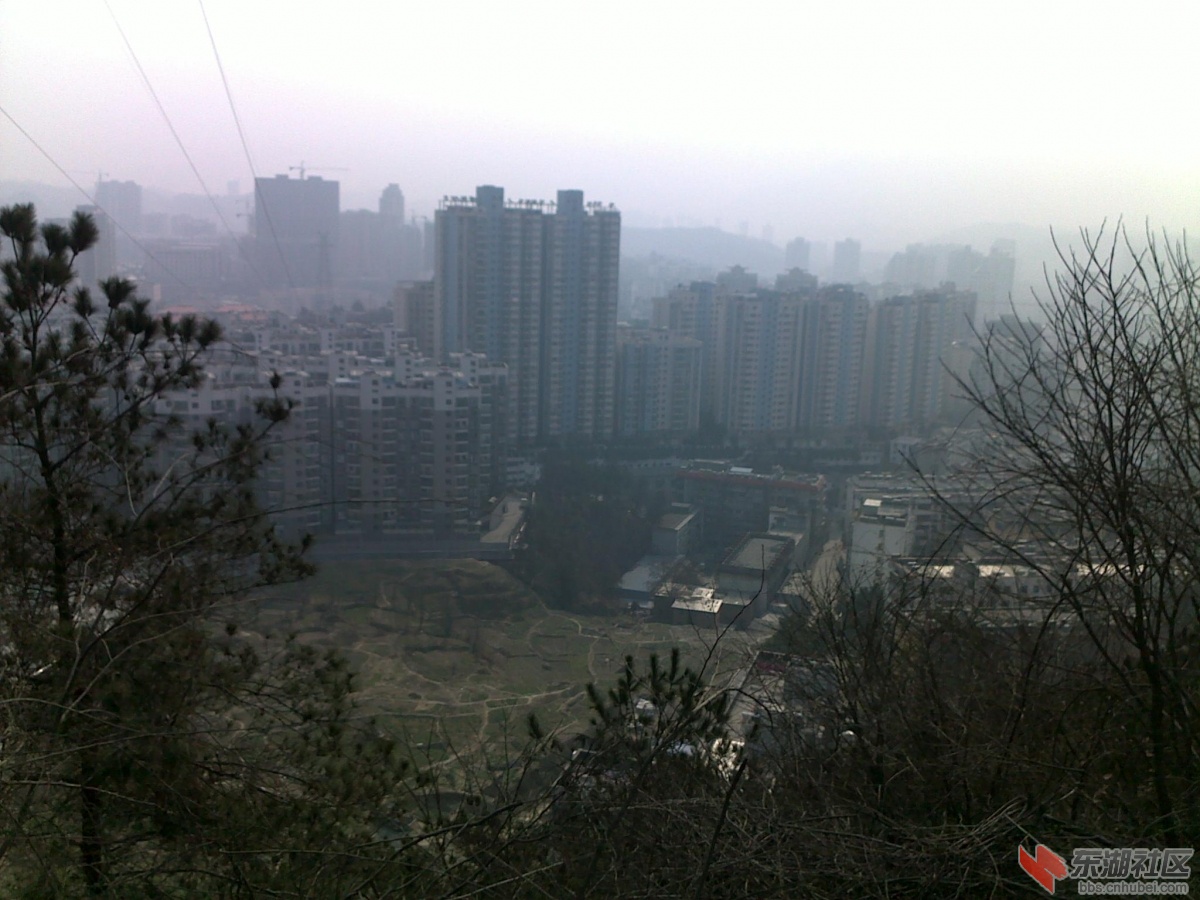201202221150.jpg