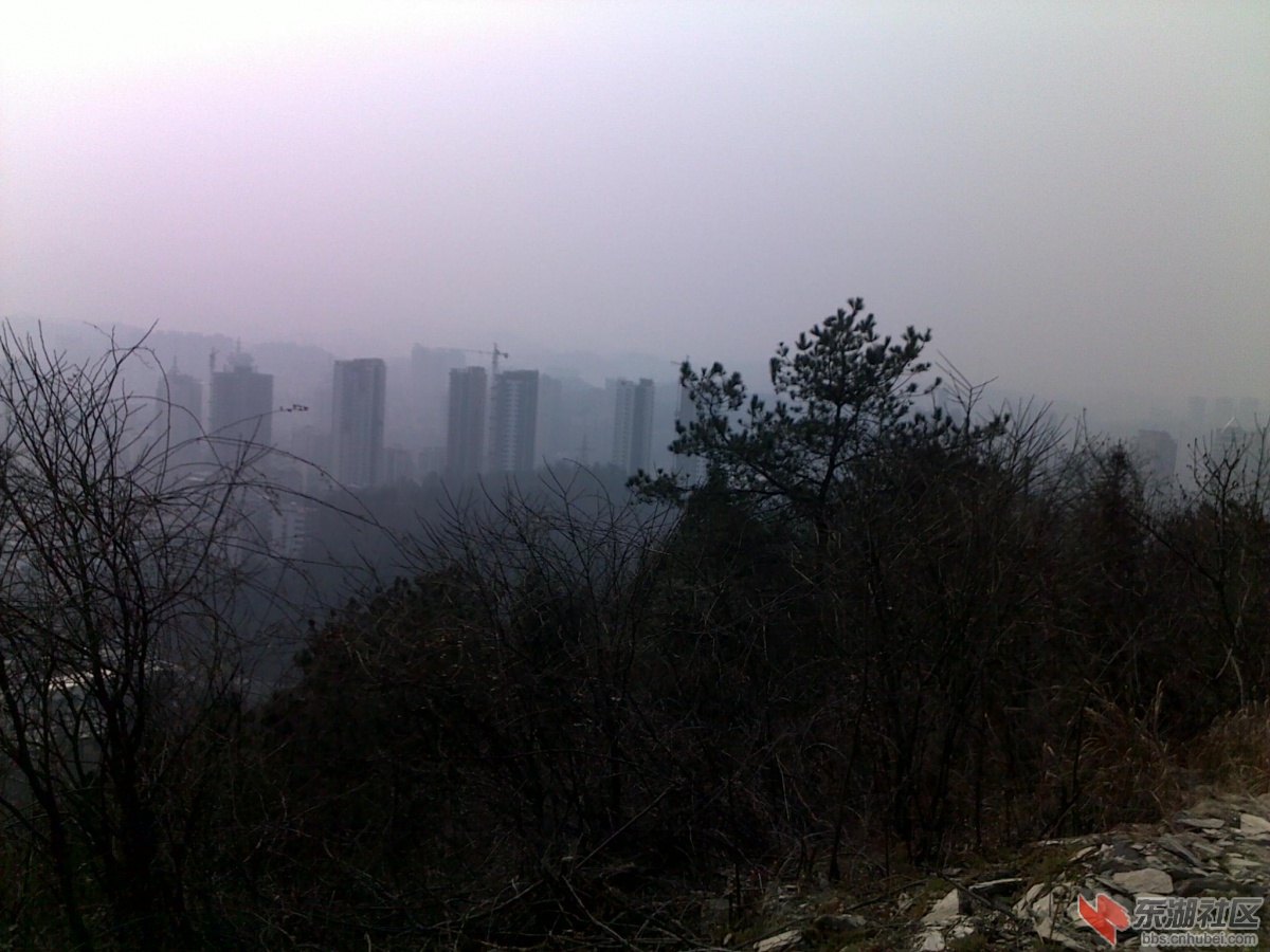 201202221151.jpg