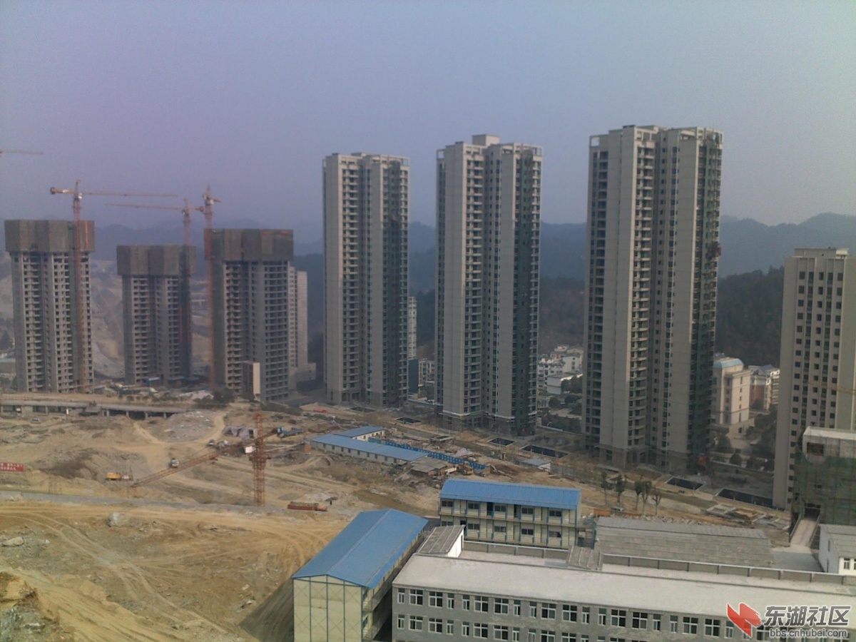 201202221153.jpg