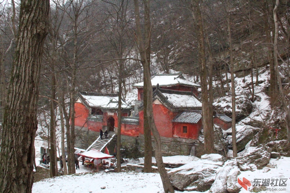 IMG_46861.JPG