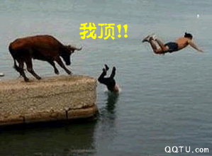 我顶1.gif