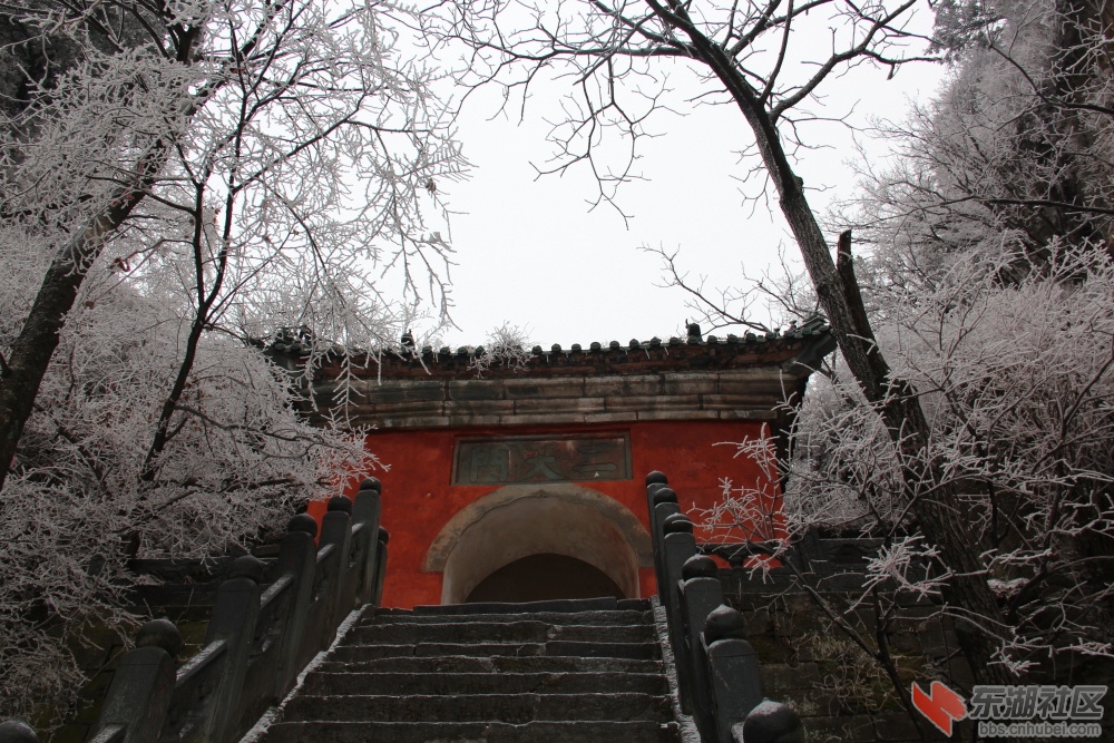 IMG_47541.JPG