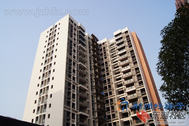 201228164410.jpg