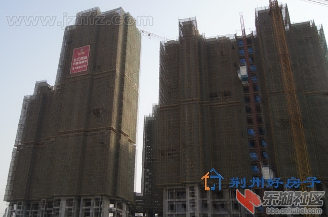 2012289278.jpg