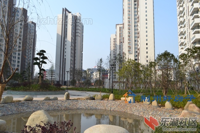 201112149929.jpg
