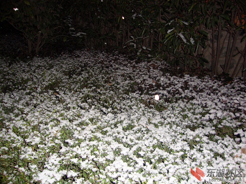 DSC00989.JPG