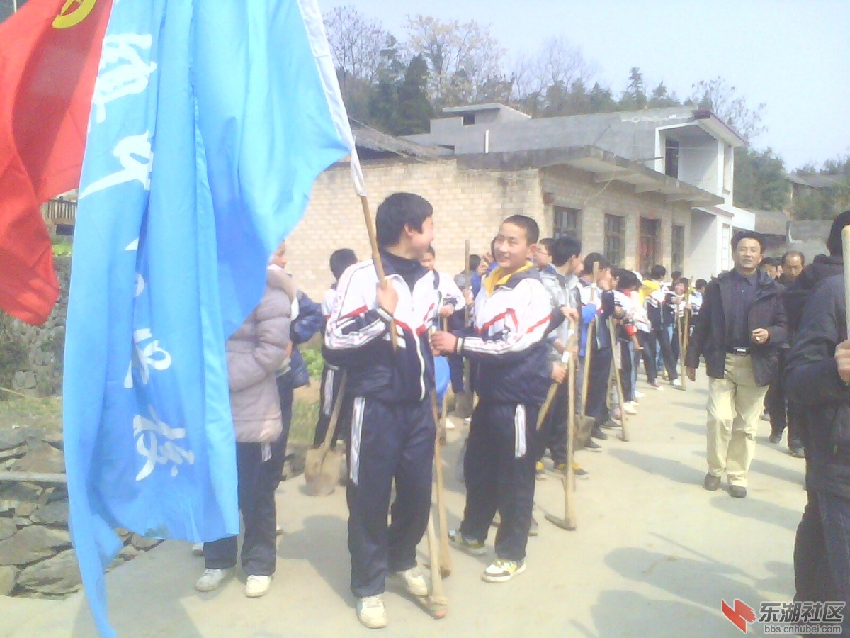 IMG5317A.jpg