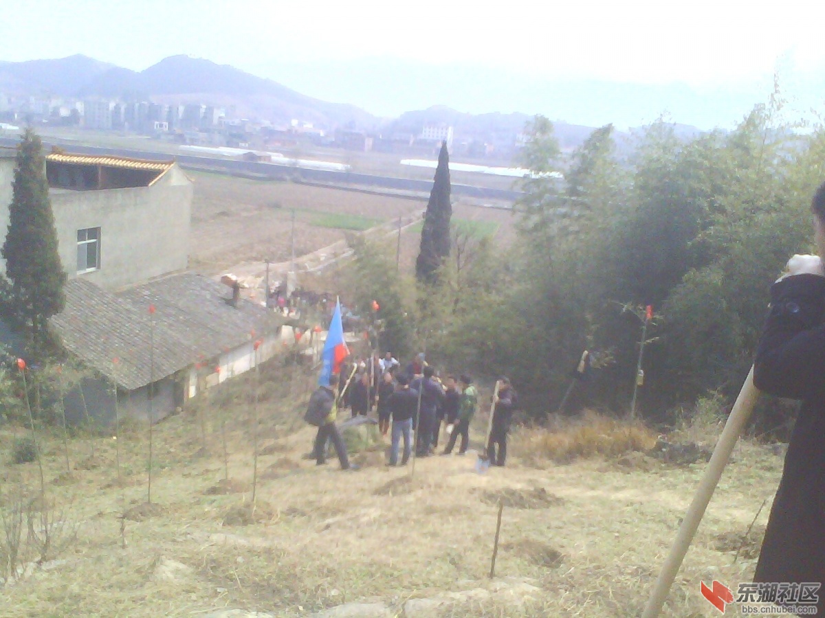 IMG5318A.jpg