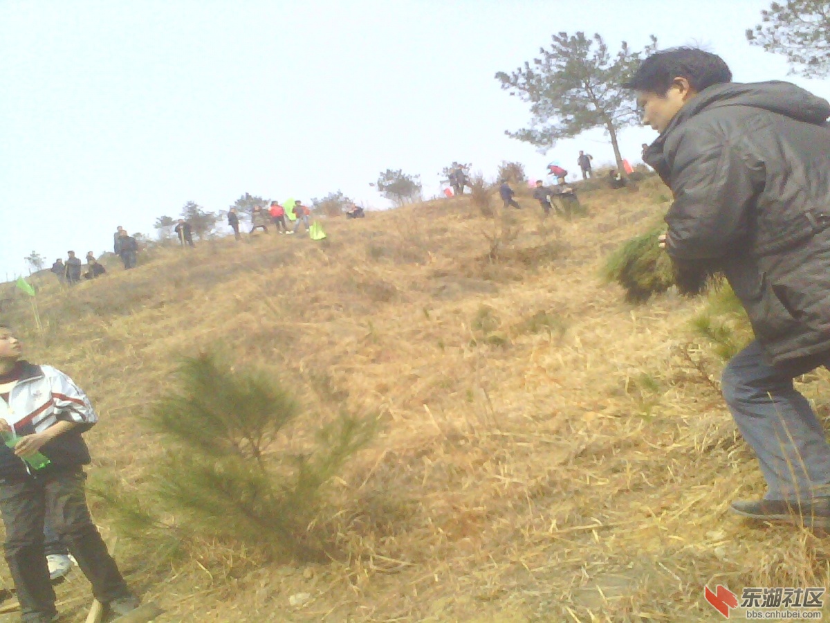 IMG5321A.jpg