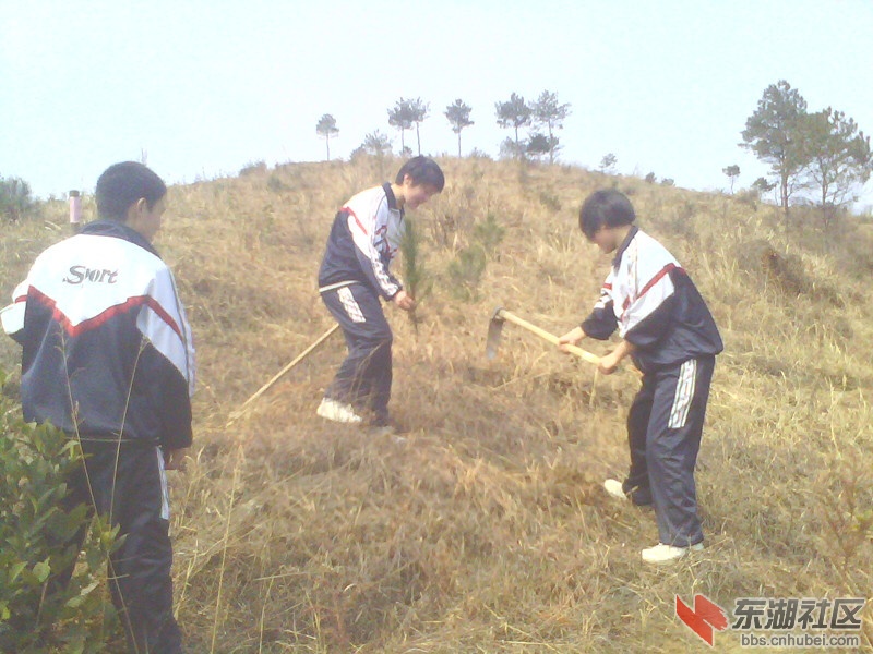 img5323a_副本.jpg