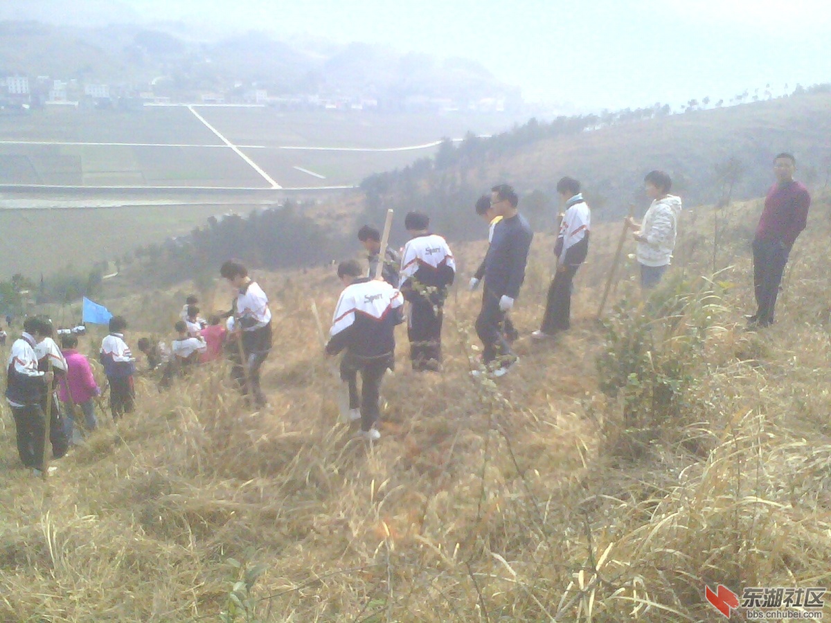 IMG5328A.jpg