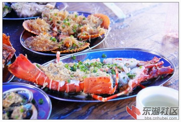 51龙虾.jpg
