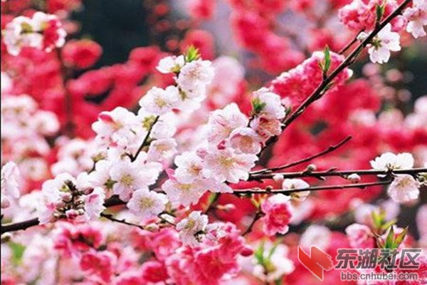http://dbsly.com.cn/