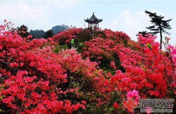 大别山旅游网