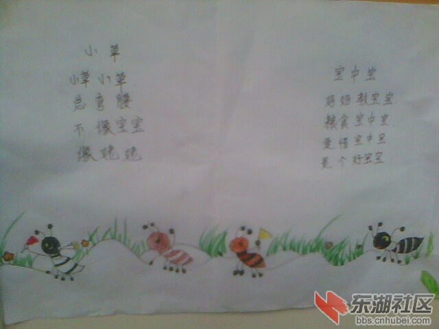 IMG5442A.jpg