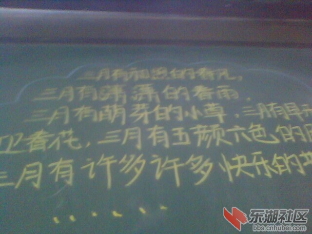 IMG5447A.jpg
