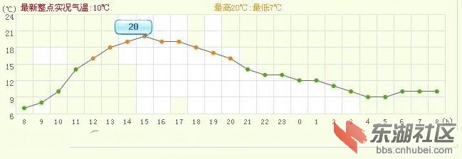 319.jpg