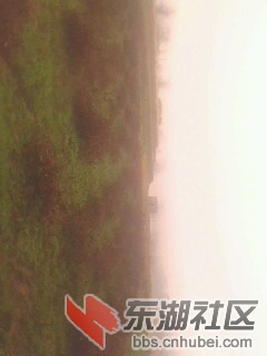 农民辛辛苦苦