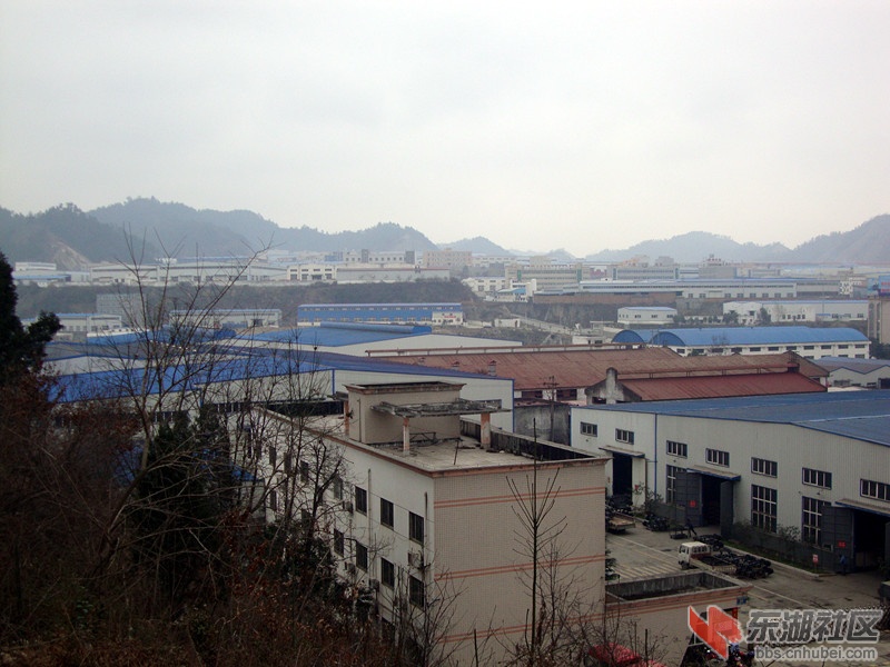 DSC01085_副本.jpg