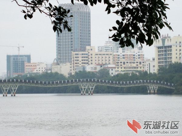 186情人桥.jpg
