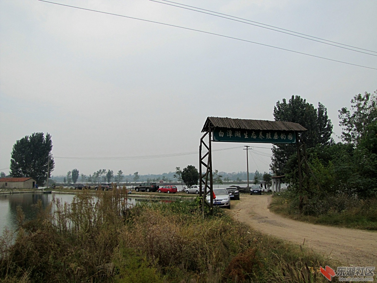 20.jpg