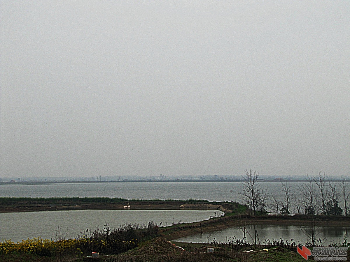 IMG_3947.jpg