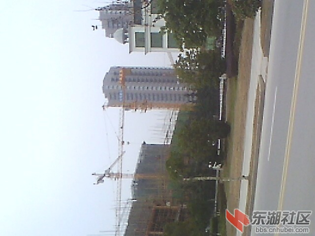 IMG0955A_A.jpg
