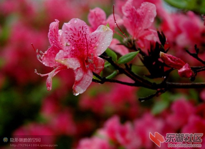 http://dbsly.com.cn/