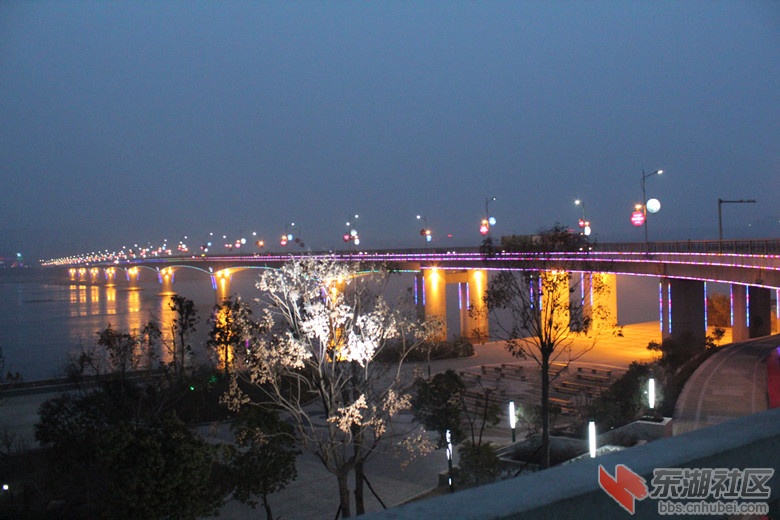 1丹江口施工大桥夜景图片0.jpg