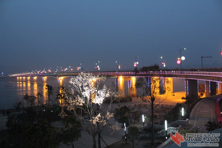1丹江口施工大桥夜景图片1.jpg
