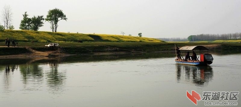 20090402_aee42eb03c4bdbce69d7AyGlAJhWB228.jpg