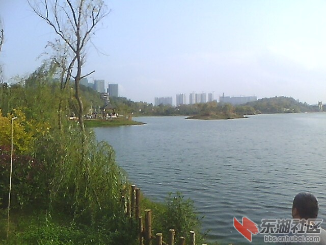 IMG0729A_B.jpg