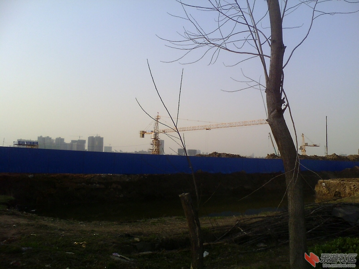 IMG1063A_A.jpg