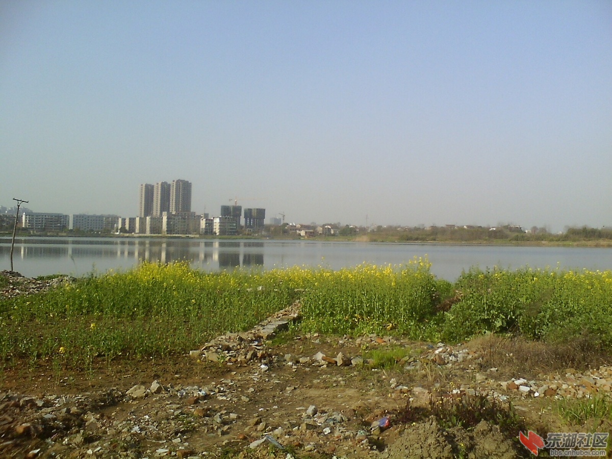 IMG1024A_A.jpg