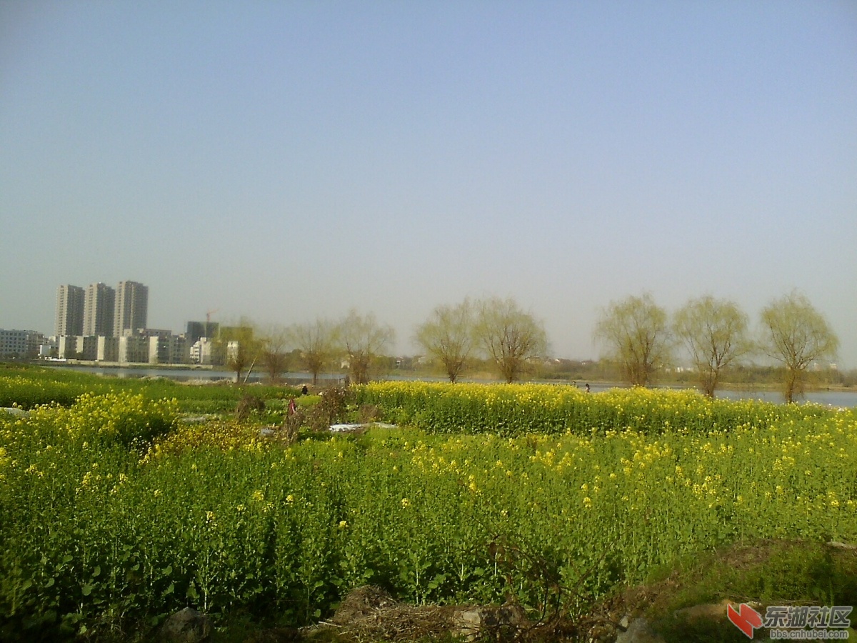 IMG1022A_A.jpg