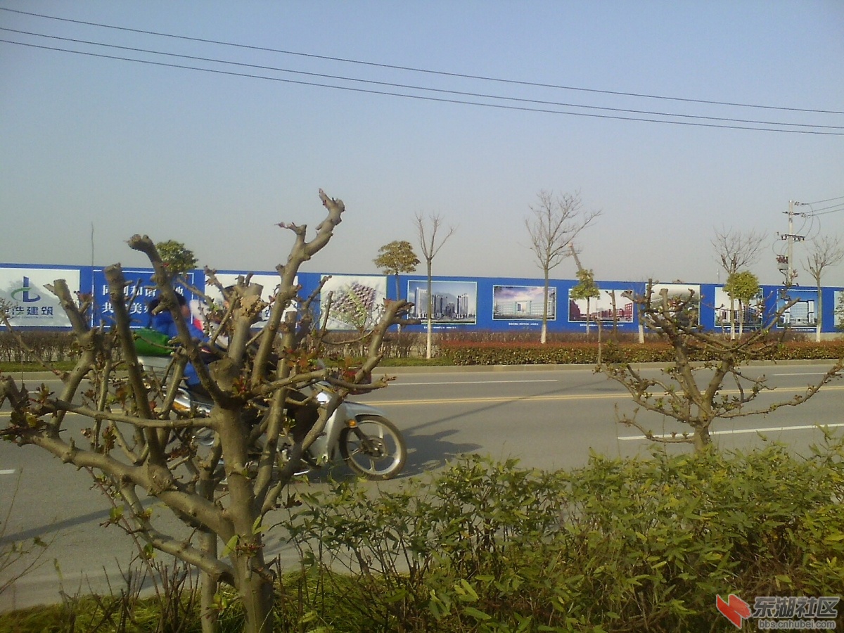 IMG1037A_A.jpg