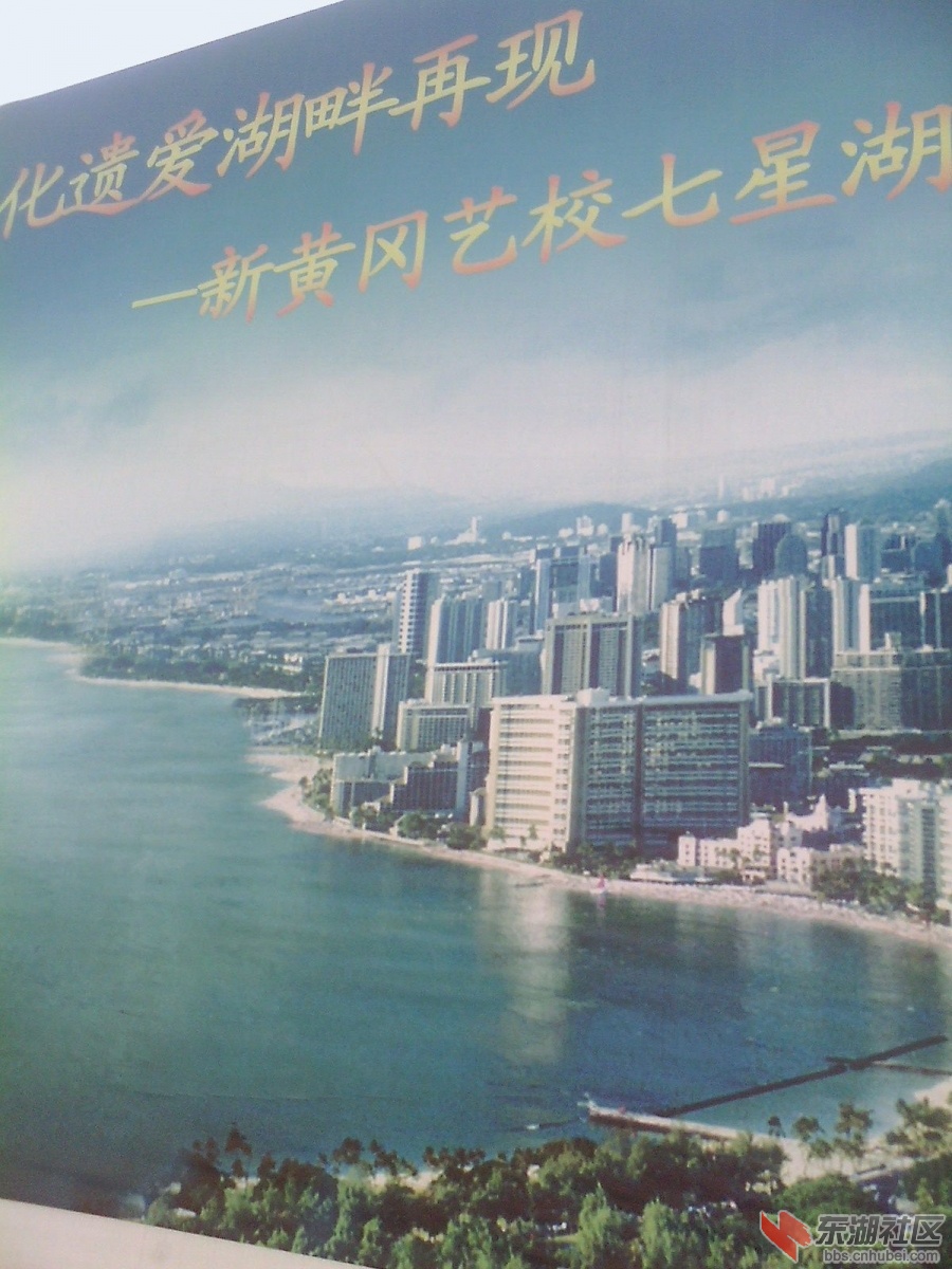 IMG1031A_B.jpg