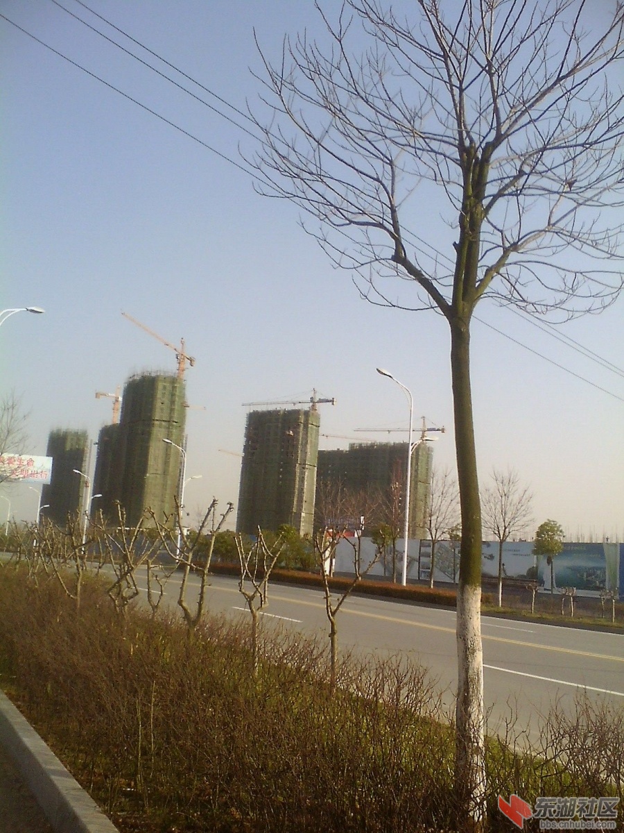 IMG1030A_A.jpg