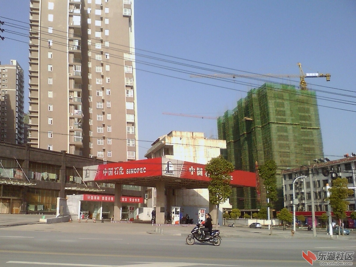 IMG1006A_B.jpg