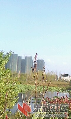 IMG0767A_A.jpg
