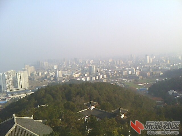 IMG0842A_A.jpg