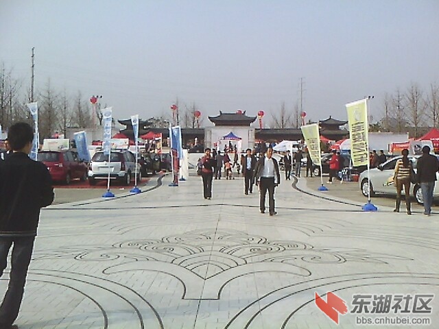 IMG0914A_D.jpg