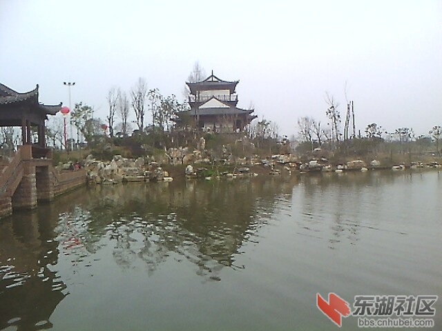 IMG0923A_A.jpg