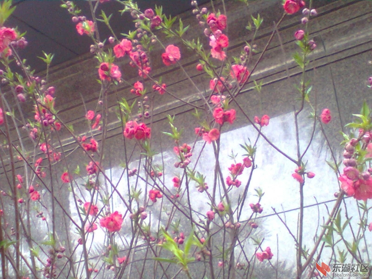 图像0054.jpg