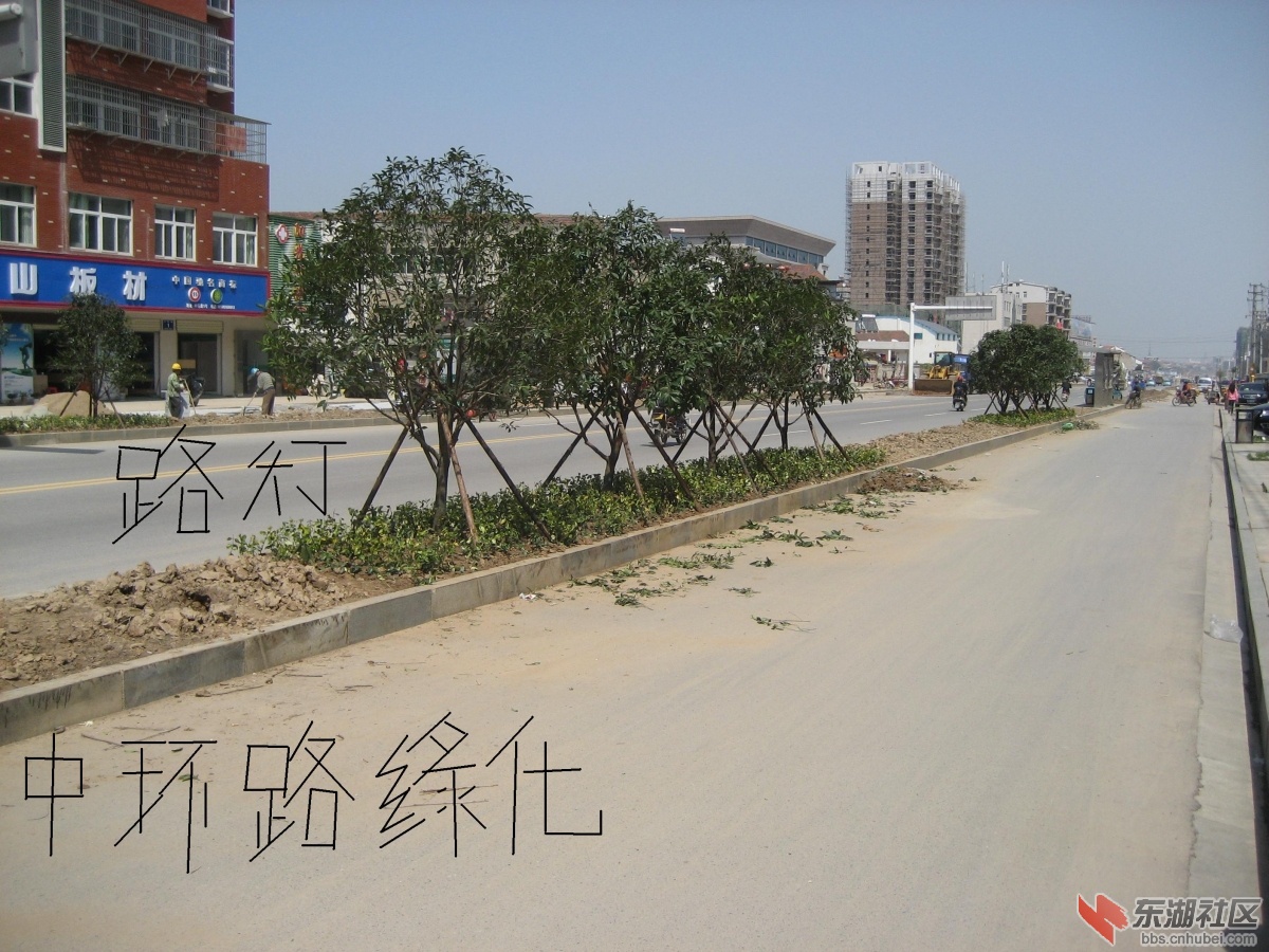 中环路新图